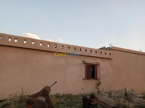 Vente Terrain Agricole Khenchela Ensigha
