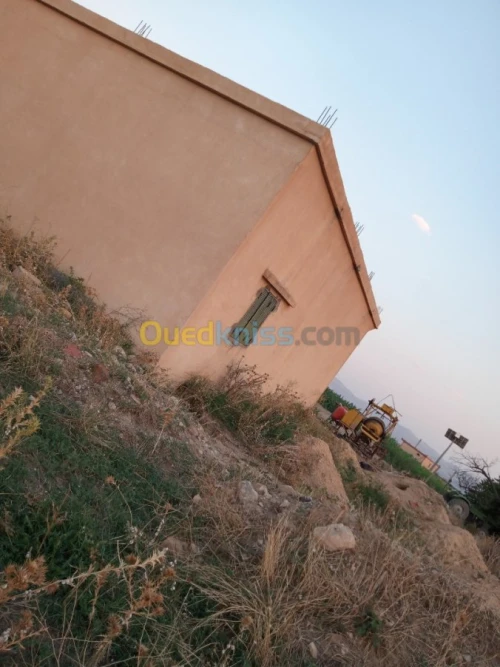 Vente Terrain Agricole Khenchela Ensigha