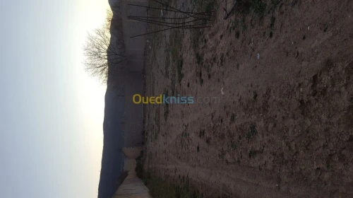 Vente Terrain Batna Tazoult