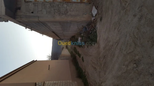 Vente Terrain Batna Tazoult