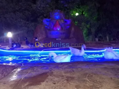 نافورة - شلال  وحدائق 