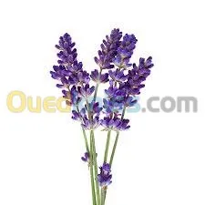 huiles essentielles et végétales  زيوت أساسية ونباتية 