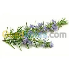 huiles essentielles et végétales  زيوت أساسية ونباتية 