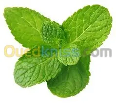 huiles essentielles et végétales  زيوت أساسية ونباتية 