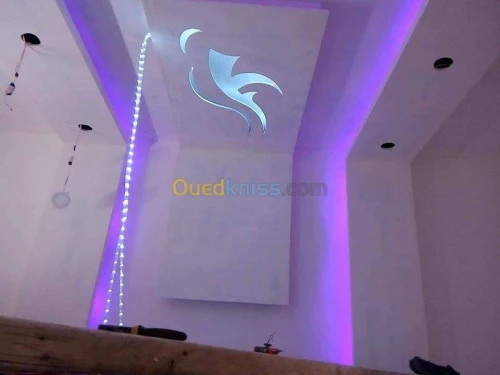 Revetement interieur en plaques de plâ