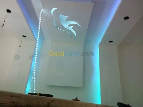 Revetement interieur en plaques de plâ