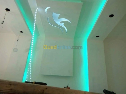 Revetement interieur en plaques de plâ