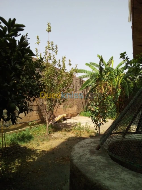 Vente Villa Blida Bougara