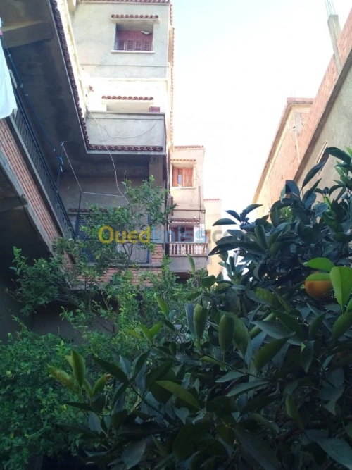 Vente Villa Blida Bougara