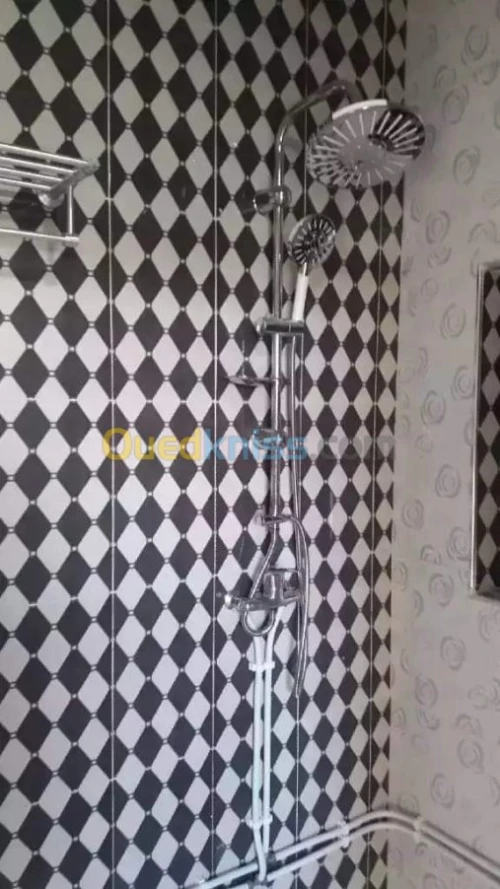 Vente Villa Ain temouchent Ouled boudjemaa