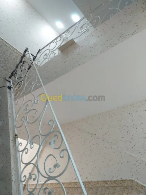  Rideau électrique   forgeron 