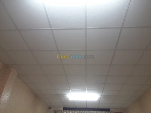 Tout les modèles de Plafond démontable