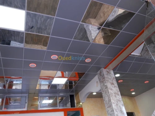 Tout les modèles de Plafond démontable