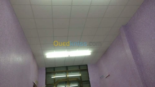 Tout les modèles de Plafond démontable