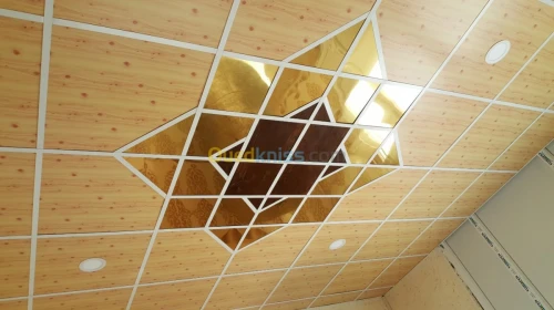 Tout les modèles de Plafond démontable