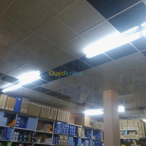 Tout les modèles de Plafond démontable