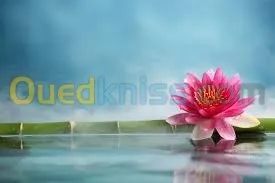 Infogarphe - designer