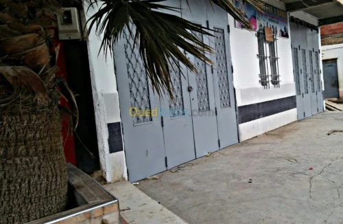 Location Local Oum el bouaghi Oum el bouaghi