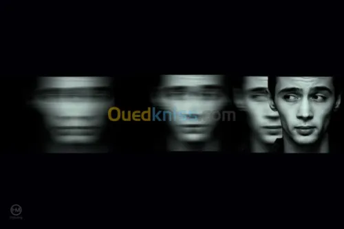 Photographe professionnel 