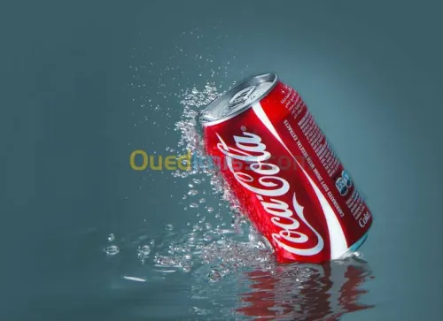 Photographe professionnel 