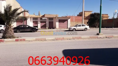 Vente Terrain Tebessa Tebessa