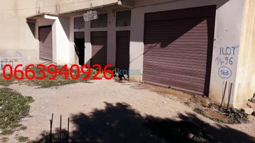 Vente Terrain Tebessa Tebessa