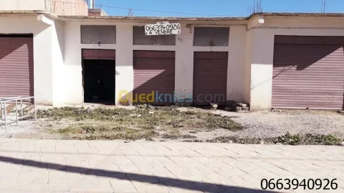 Vente Terrain Tebessa Tebessa
