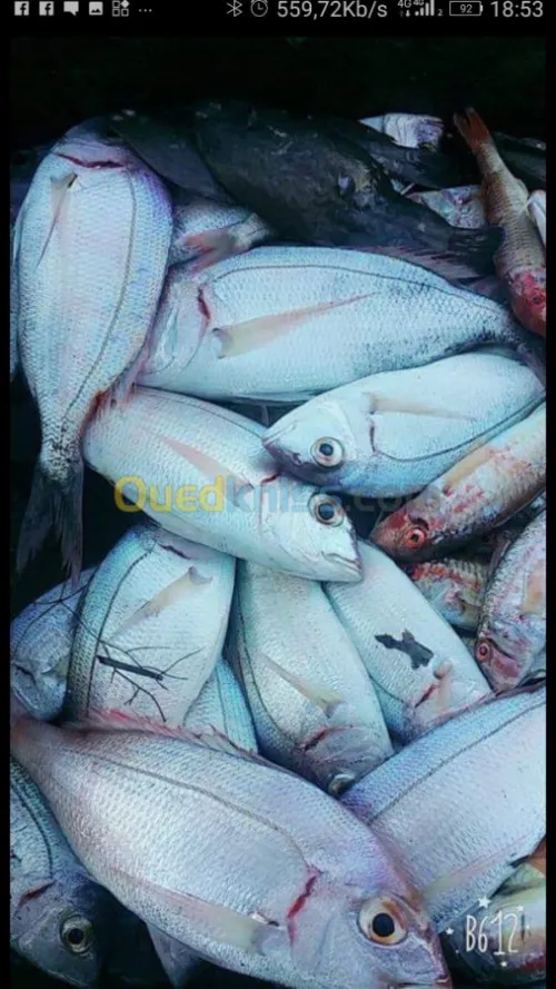 Poisson