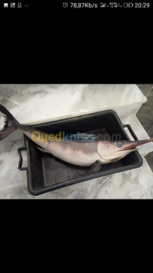 Poisson