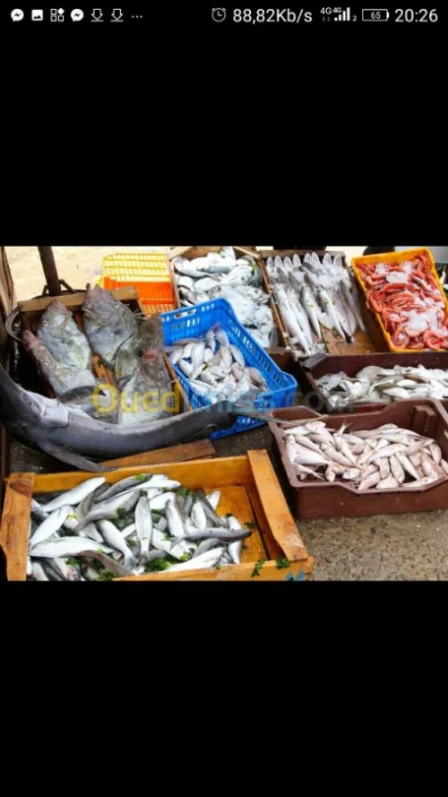 Poisson