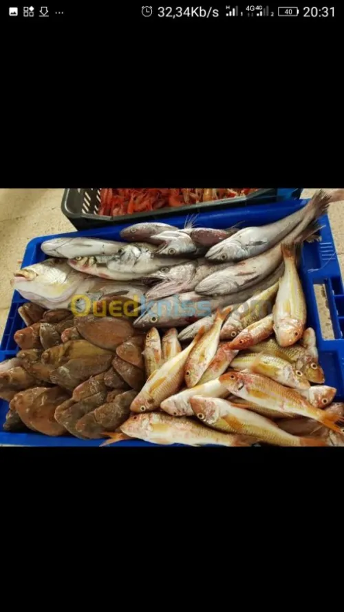 Poisson