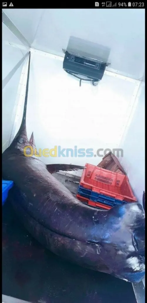 Poisson