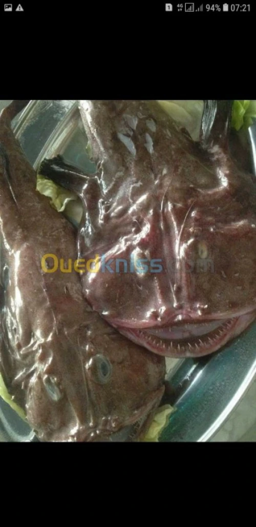 Poisson