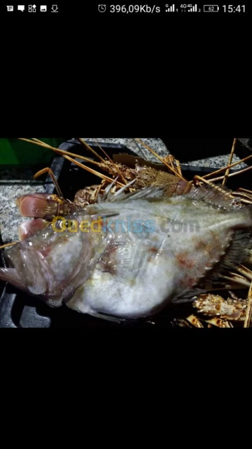Poisson