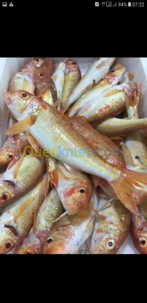 Poisson