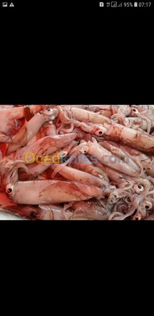 Poisson