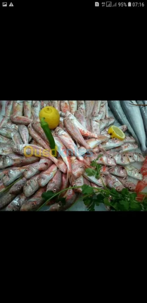 Poisson
