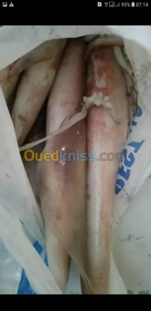 Poisson