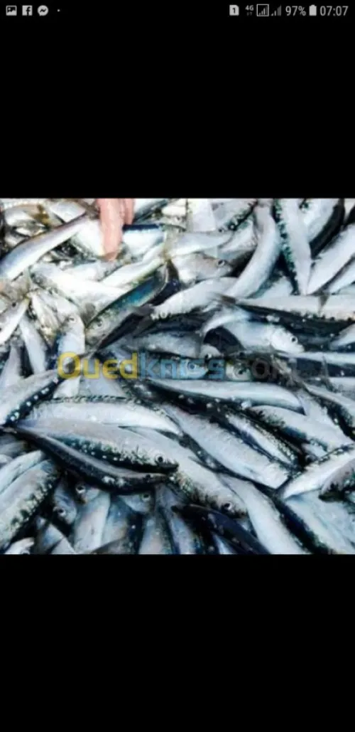 Poisson