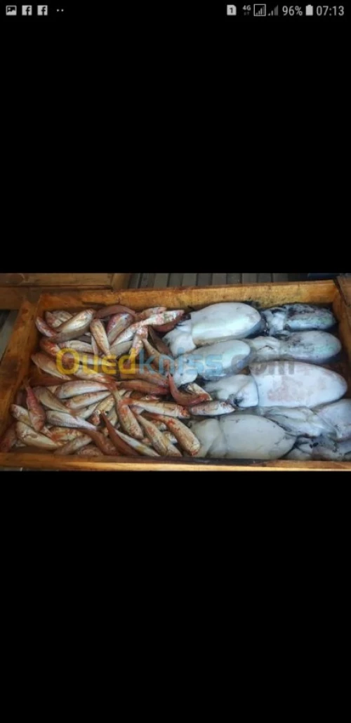 Poisson
