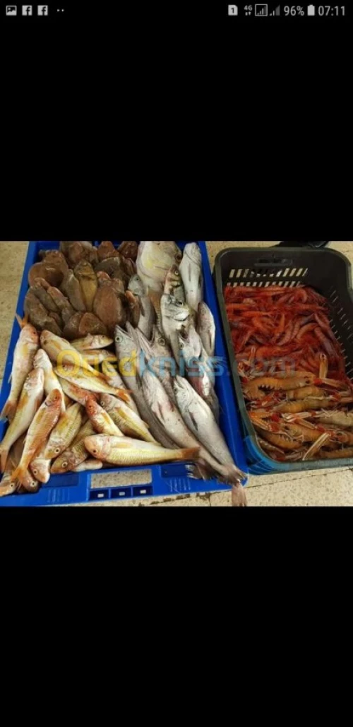 Poisson