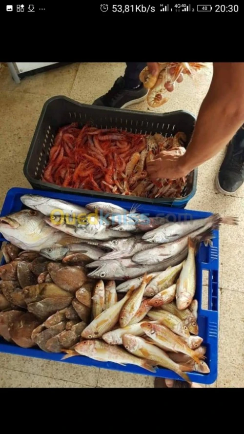 Poisson
