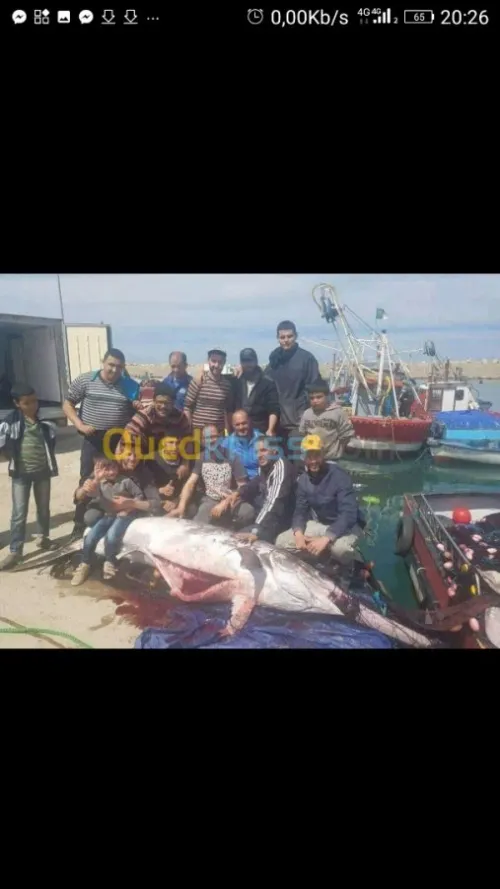 Poisson