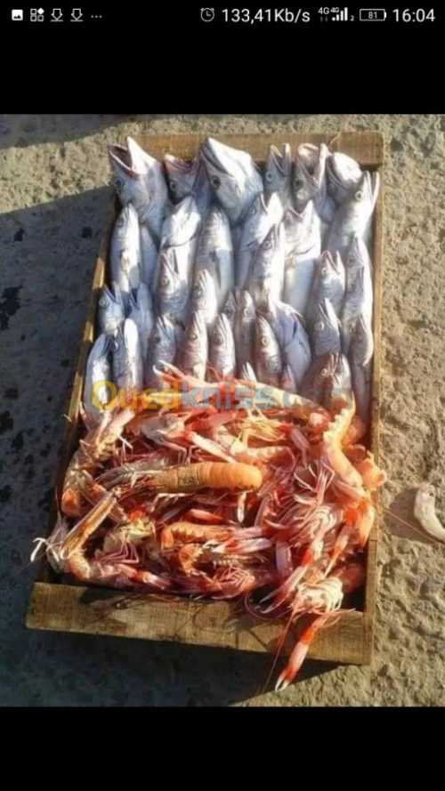 Poisson