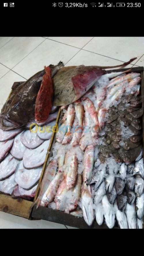 Poisson