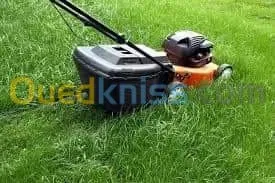 Entretien et création  des jardins 