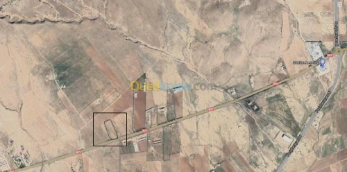 Vente Terrain Batna Batna