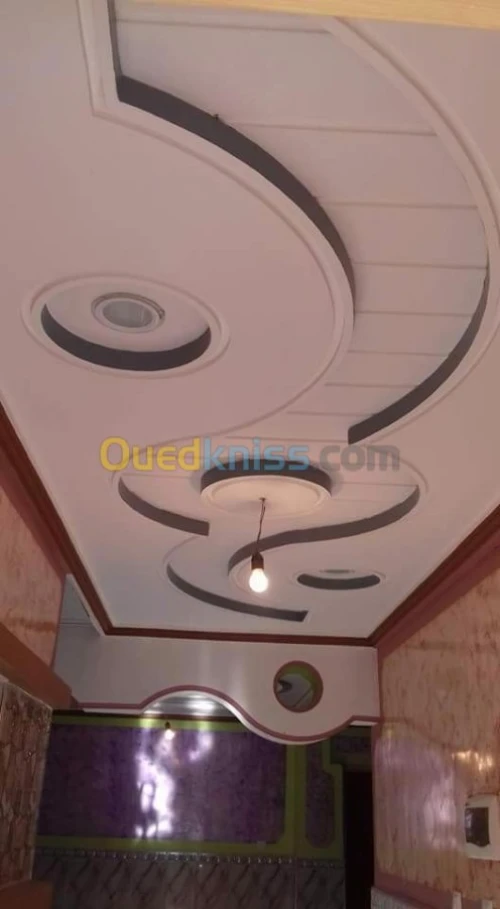 Faux plafond .  platre