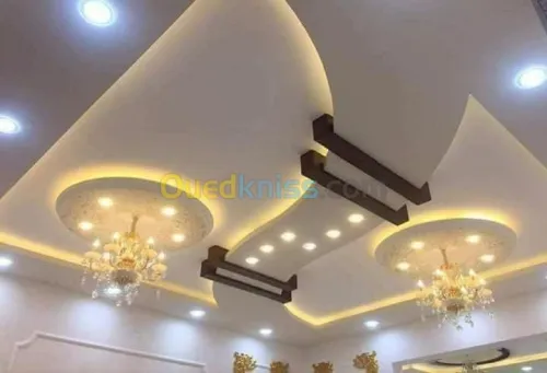 Faux plafond .  platre