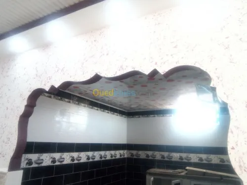 Faux plafond .  platre